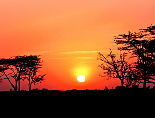 Masai Mara